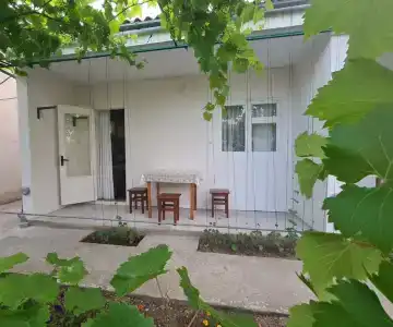 Южный Берег - 80