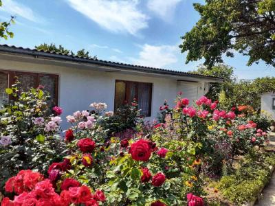 Гостевой дом на Садовой 8 - 27