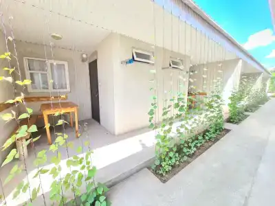 Южный Берег - 101