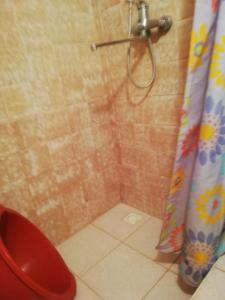 Мальва на Бирюзова - 29