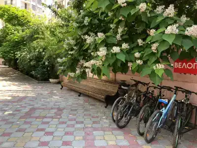 Южная дача - 89