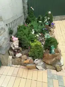 Лесная поляна - 2