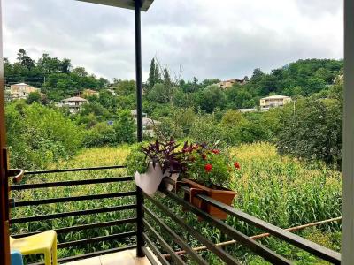 Four Seasons in Kutaisi - 18