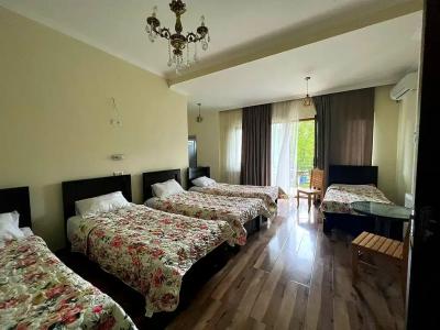 Four Seasons in Kutaisi - 30