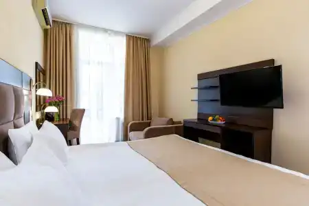 Бристоль - 45