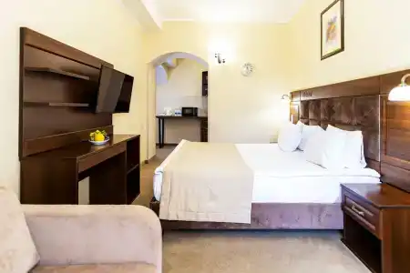 Бристоль - 49