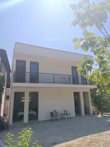 Диана - 11
