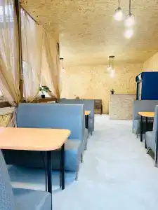 Золотой абрикос - 3