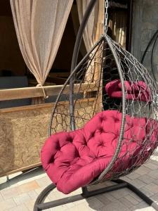 Золотой абрикос - 9