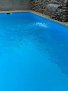 Золотой абрикос - 10