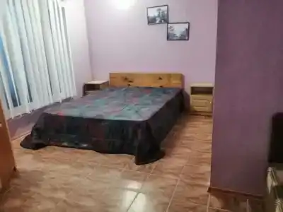 Лэди-С - 14