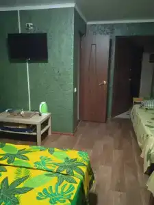 Спутник - 5