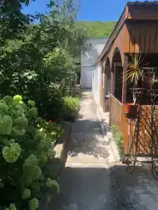 Пионер - 3