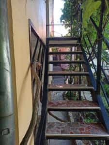 Гостевой Дворик - 44