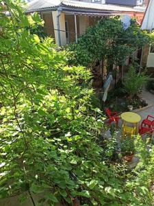 Гостевой Дворик - 48