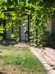 Баунти - 18