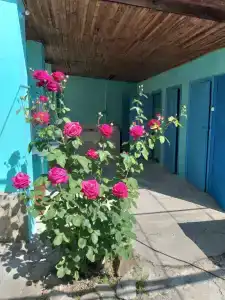Гостевой дом на Глухом 5 - 9