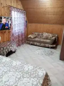 Близнецы - 6