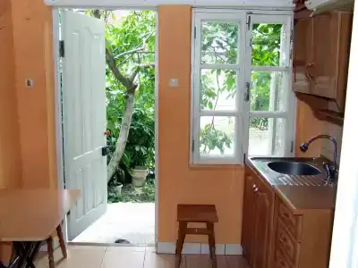 Розмарин - 15