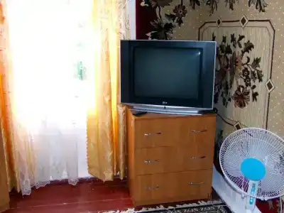 Розмарин - 14