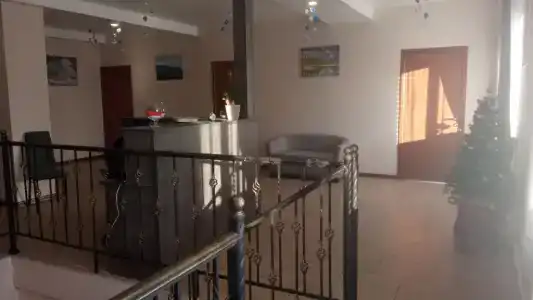 Клевер - 11