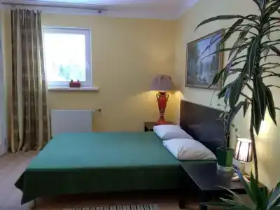 Канадский уголок Желтый - 0