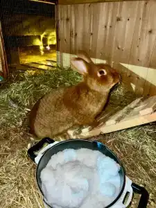 Дом Горчакова - 88