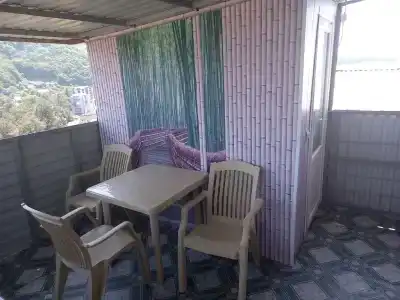 Колибри - 2