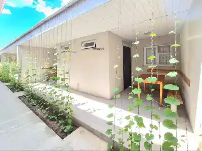 Южный Берег - 133