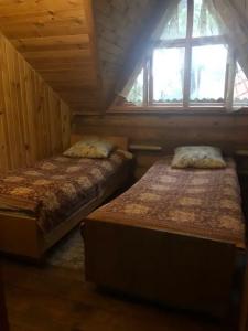Три медведя - 5