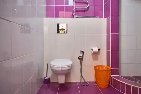 Диса - 180
