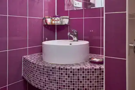 Диса - 209