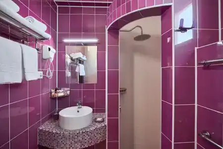 Диса - 231