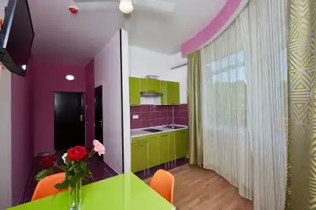 Диса - 218