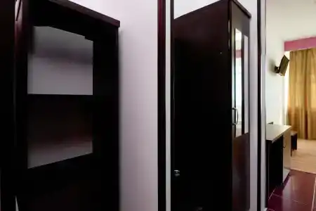 Диса - 238