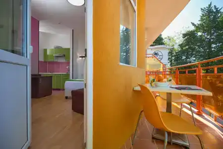 Диса - 244