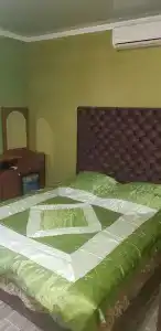 Сапсан - 12