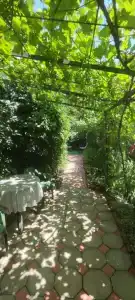 Апрель на Ростовской - 6