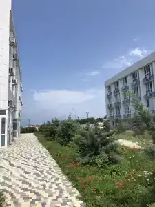 Адмиральская лагуна - 117