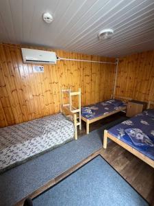 Судак-тудак - 50