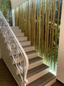 33 тюльпана - 59