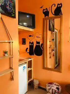 Фазенда - 117