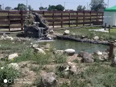 Море Солнца - 10