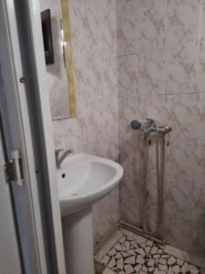 Кипарис - 13