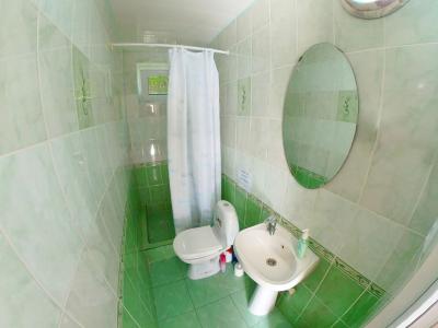 Панаётик - 24