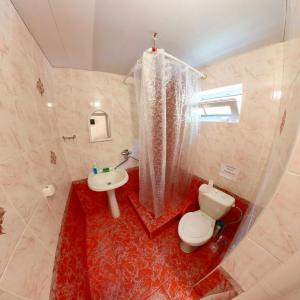 Панаётик - 110