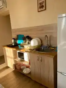 Сантолина - 26
