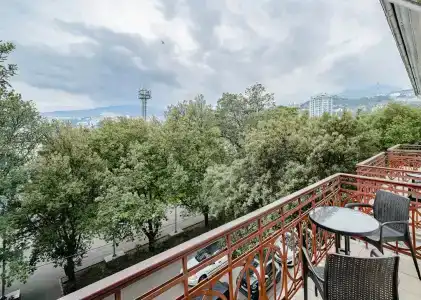 Бристоль - 81