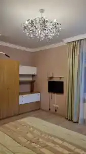 Каштановый особняк - 45