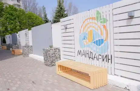 Мандарин - 12